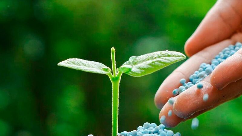 Agro: Los precios de los fertilizantes exhibieron un marcado incremento.