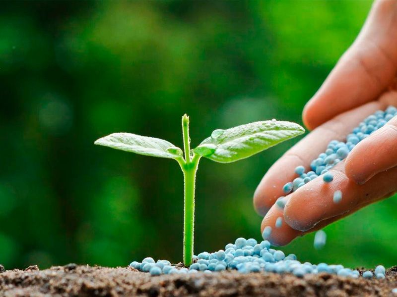 Agro: Los precios de los fertilizantes exhibieron un marcado incremento.