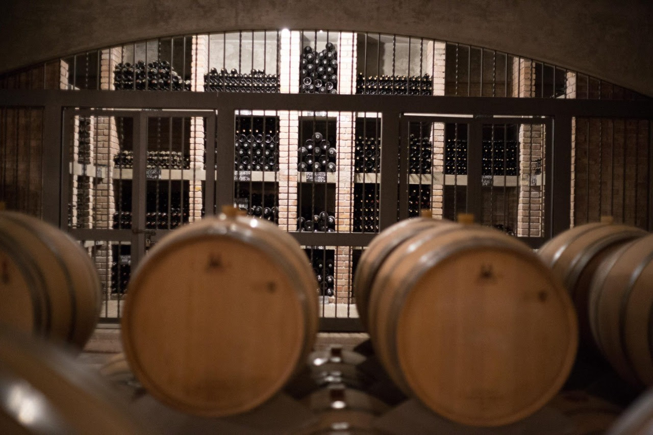 La bodega Piedra Negra anunció una inversión de 2.5 millones de dólares para su finca del Valle de Uco en Mendoza