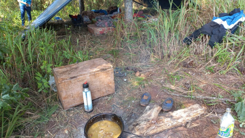 Yerba mate: Detectan indicios de explotación laboral en Misiones.