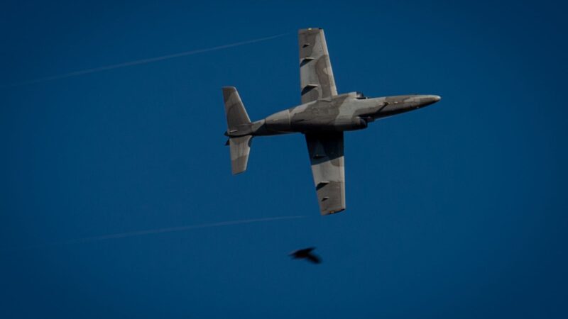 “Argentina Vuela 2022”: Una multitud asistió al evento más importante de la aeronáutica militar
