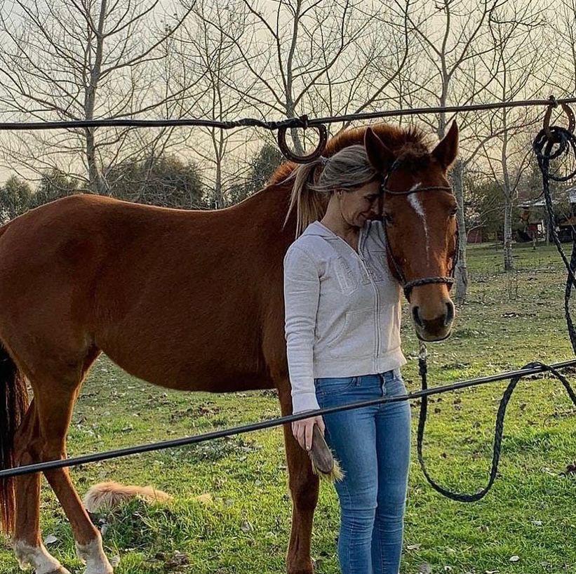 Entrenamiento con caballos: la innovadora diplomatura impulsada por la UCES