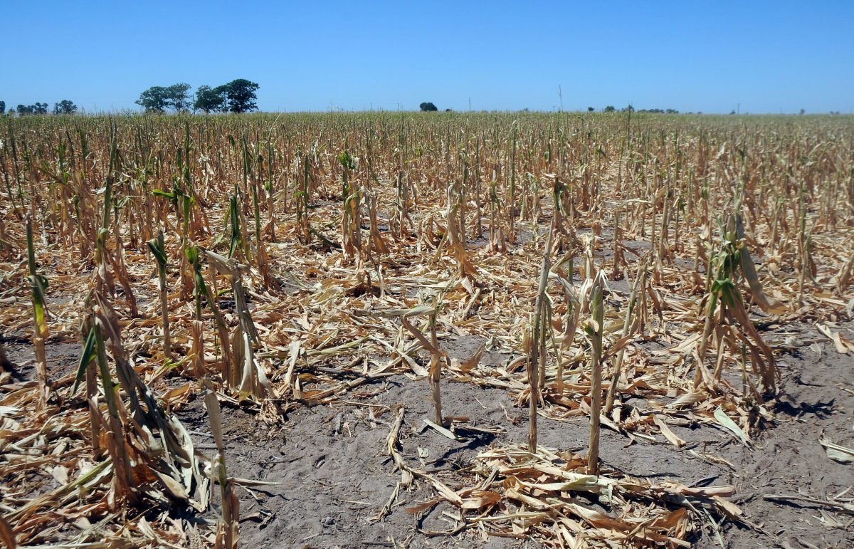 Convocan a la Comisión de Emergencia Agropecuaria de Buenos Aires (Cedaba)