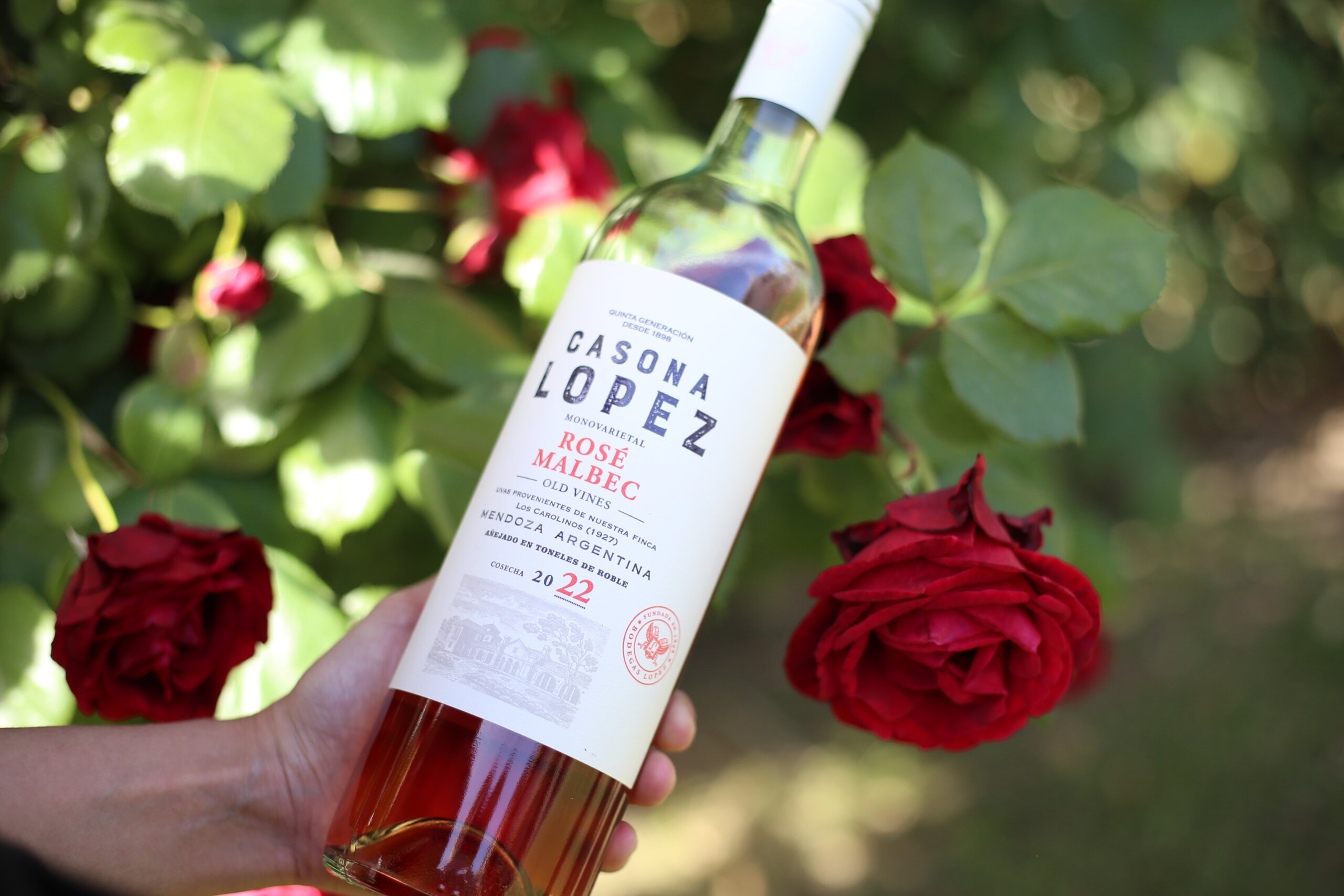 Bodegas López anuncia cuatro nuevos lanzamientos