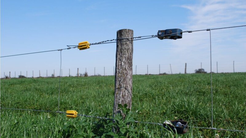 Trabajadores rurales se capacitan en instalación de alambrados