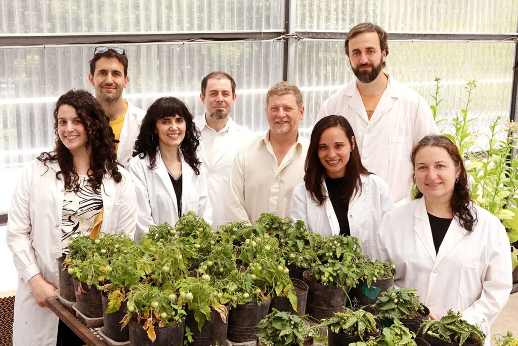 Estudian el «balance redox» en las plantas