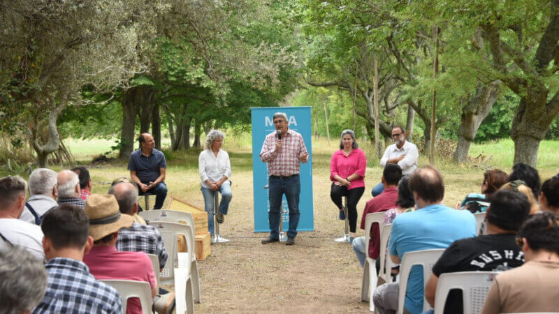 Presentan «Mi primera colmena» para fomentar la apicultura bonaerense