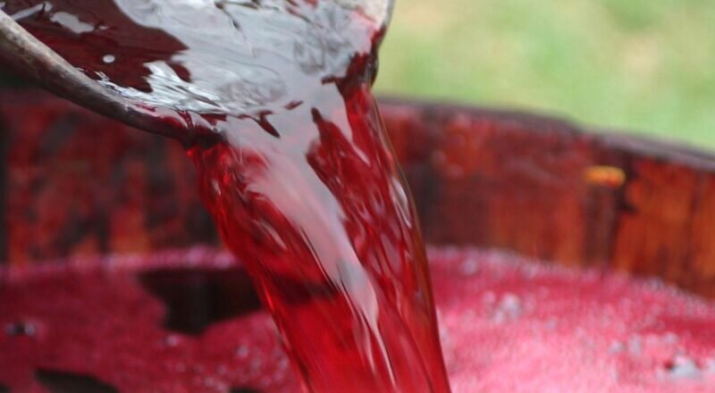 Vinos argentinos premiados en Países Bajos