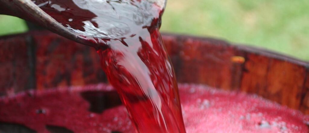 Vinos argentinos premiados en Países Bajos