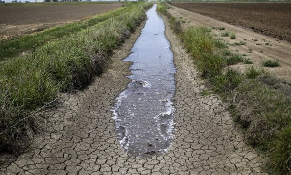 La sequía afecta casi el 55 por ciento del territorio argentino