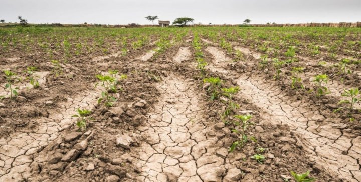 Productores bonaerenses afectados por la sequía tendrán asistencia del gobierno