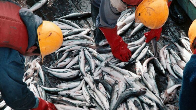 China levanta suspensiones sobre establecimientos pesqueros argentinos