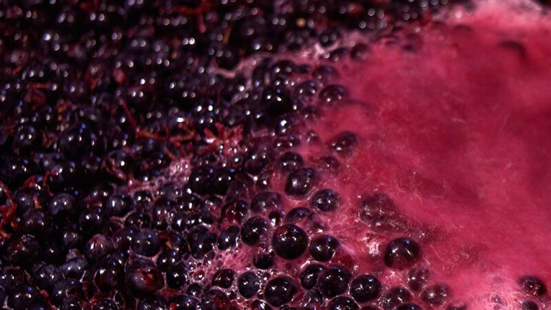 Argentina firma acuerdo para dar seguridad a exportaciones de mosto concentrado a Estados Unidos