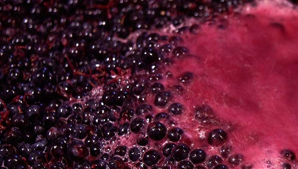 Argentina firma acuerdo para dar seguridad a exportaciones de mosto concentrado a Estados Unidos