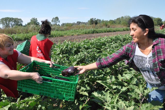 Agricultura familiar: el gobierno bonaerense financió 186 proyectos por un total de $339 millones