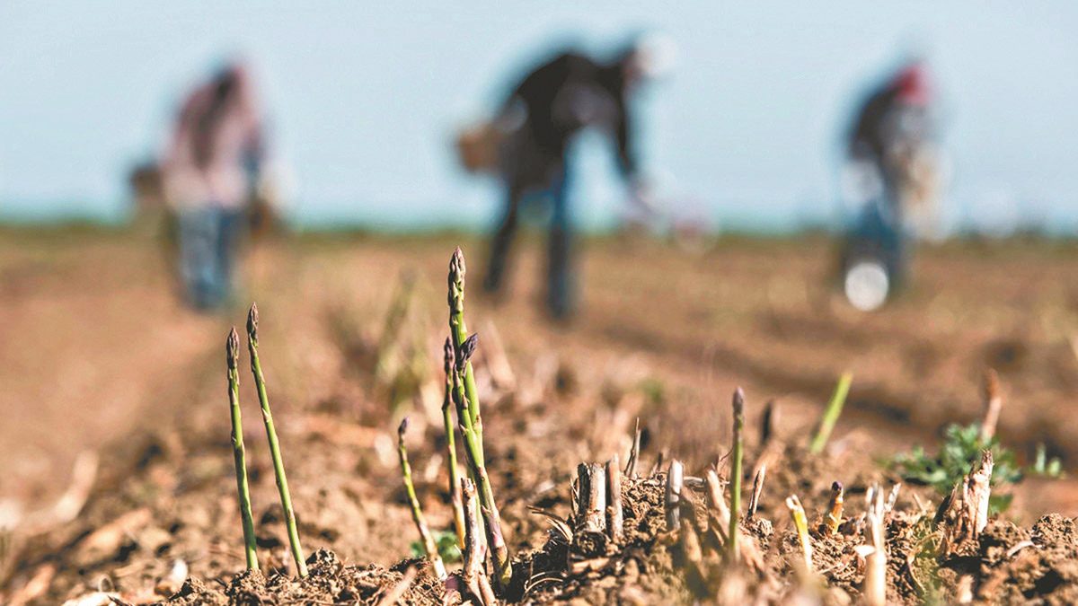 Advierten que el sector pyme del campo bonaerense está en  alerta roja por la extrema sequía