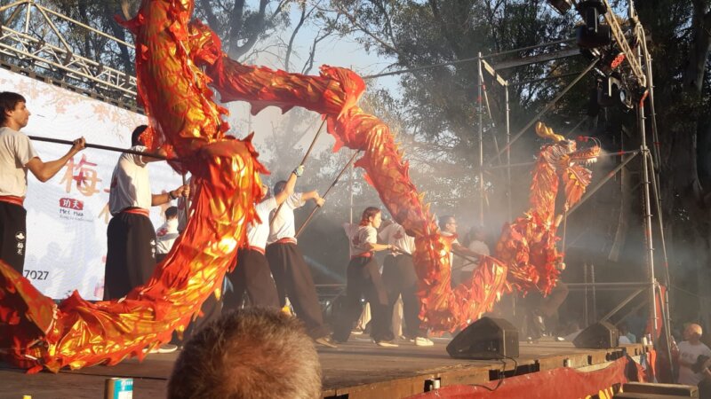 Año Nuevo Chino 2023: en La Plata se celebró con una multitudinaria presencia(con video)