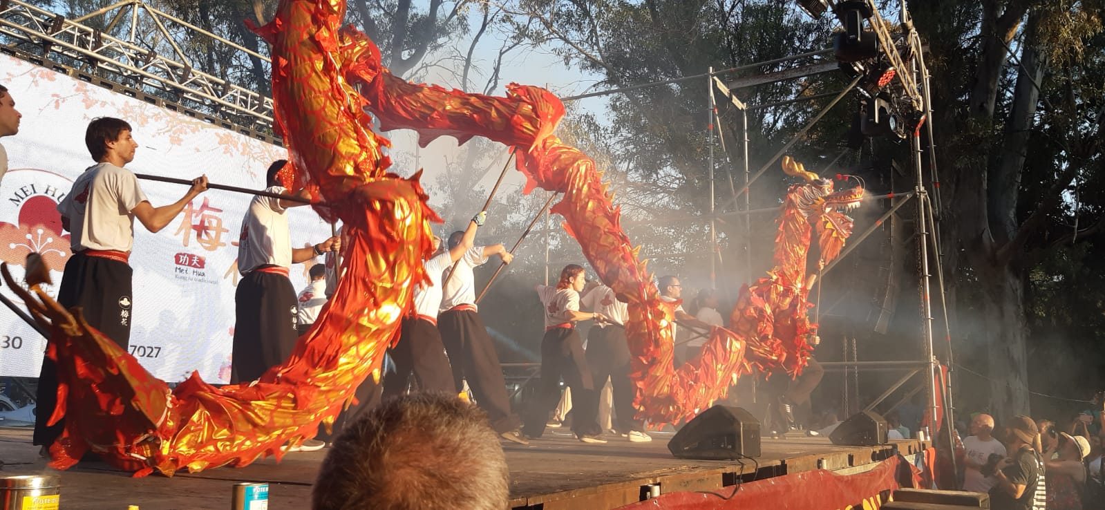Año Nuevo Chino 2023: en La Plata se celebró con una multitudinaria presencia(con video)