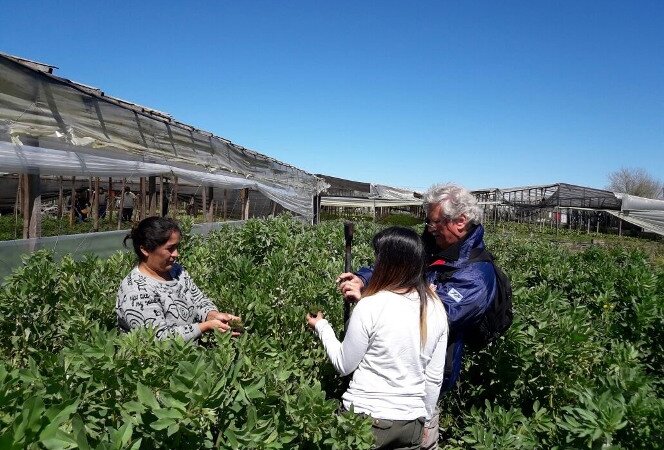 Buenos Aires: convocan a presentar proyectos de agricultura familiar