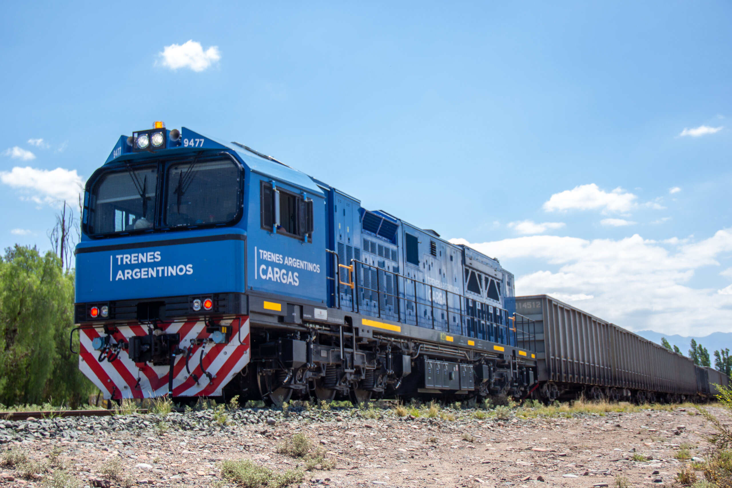 Trenes Argentinos a toda marcha con la diversidad de productos despachados