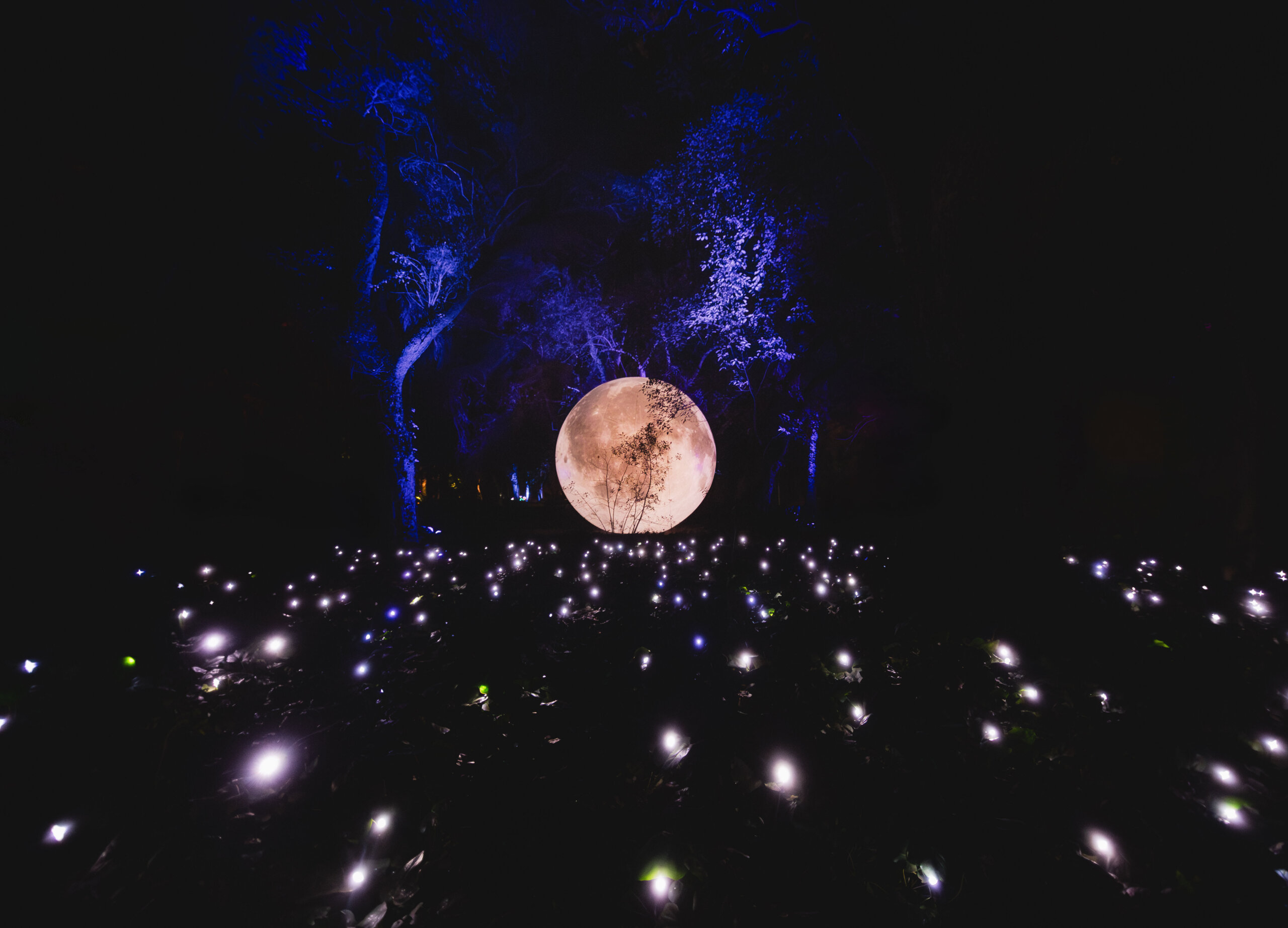 Secret Garden Abre sus puertas