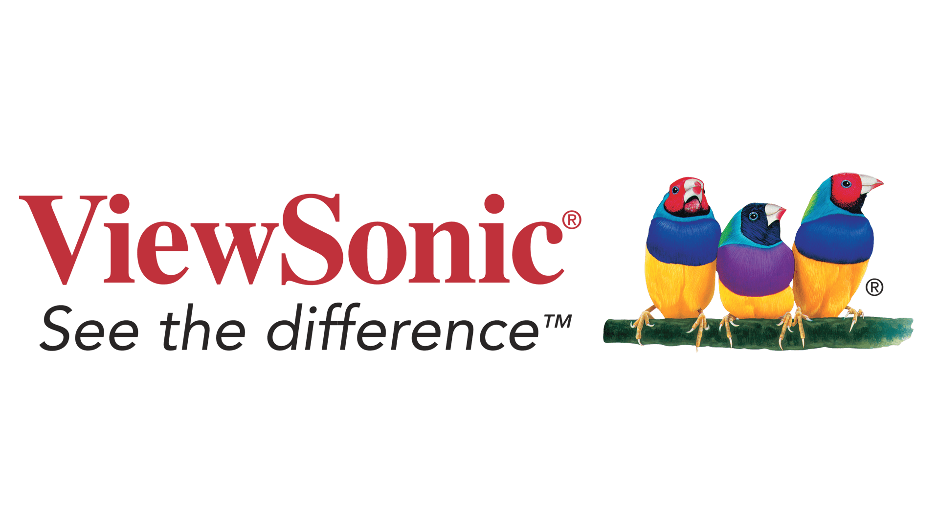 La comunidad de educadores de ViewSonic es un entorno global de networking y aprendizaje