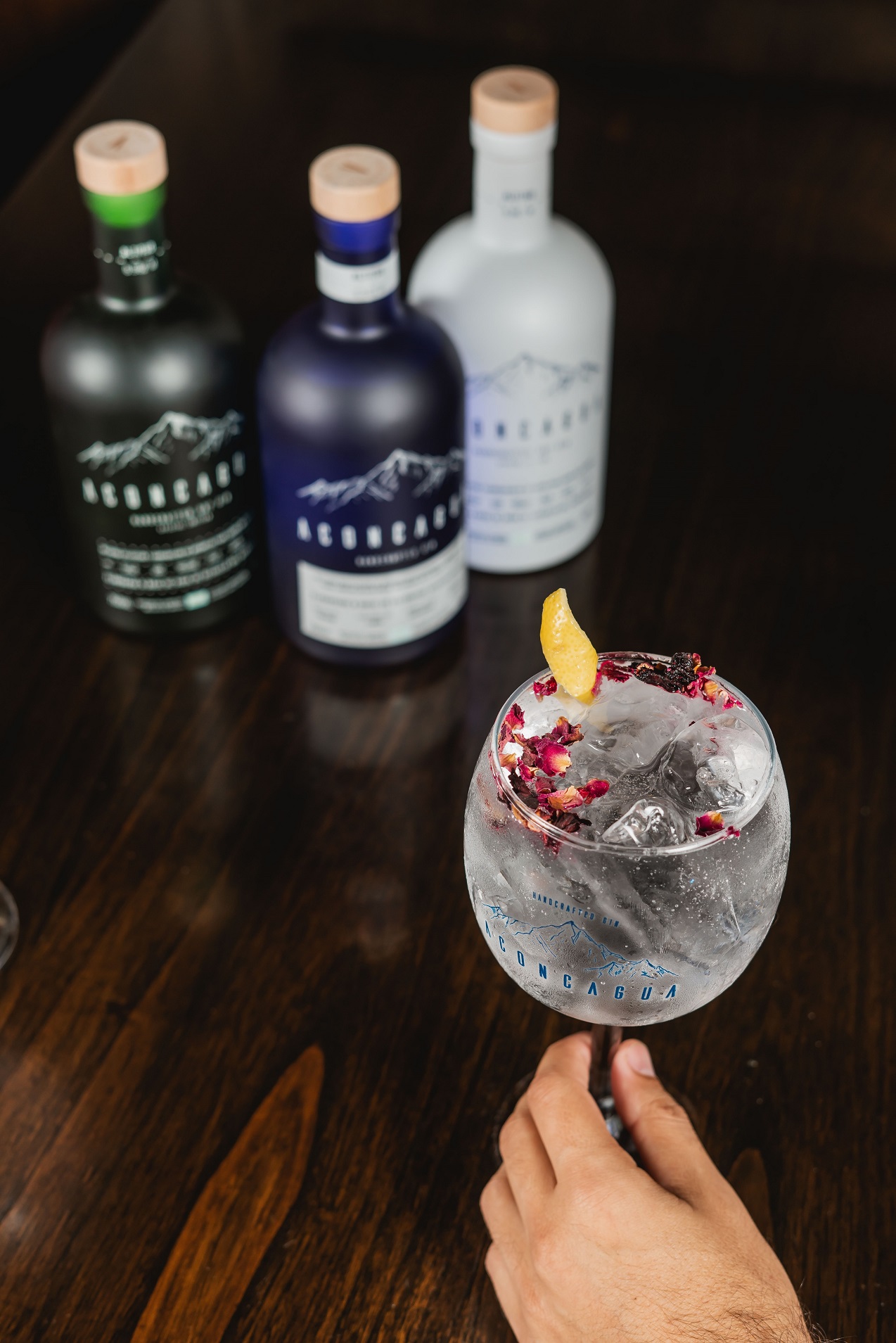 Aconcagua Gin lanzó una nueva línea y sus ventas crecieron un 30%