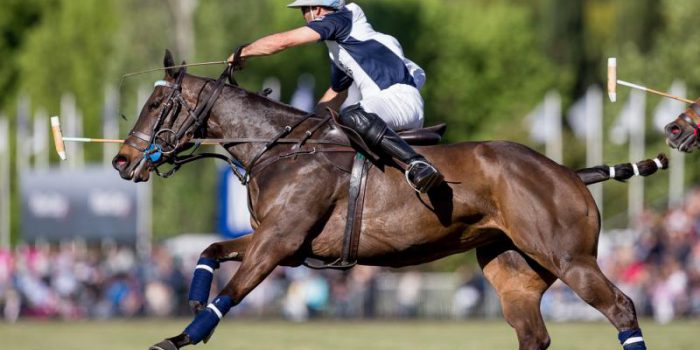 AFIP detectó una subvaluación de 100 millones de pesos en caballos de polo