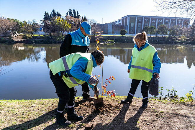 Realizan plantaciones de especies nativas en municipios bonaerenses