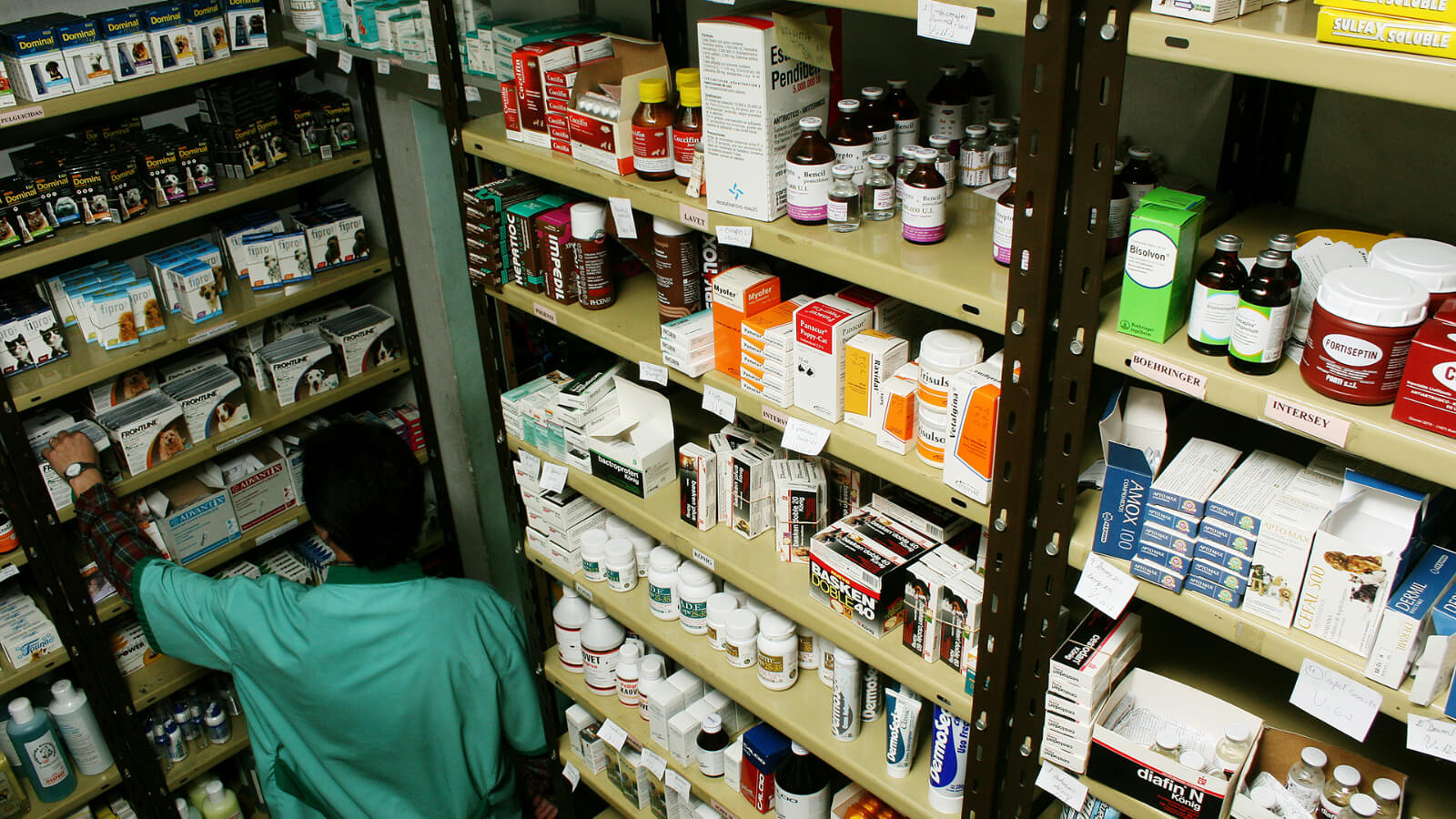 Crean vademécum de productos veterinarios con listado completo de medicamentos registrados