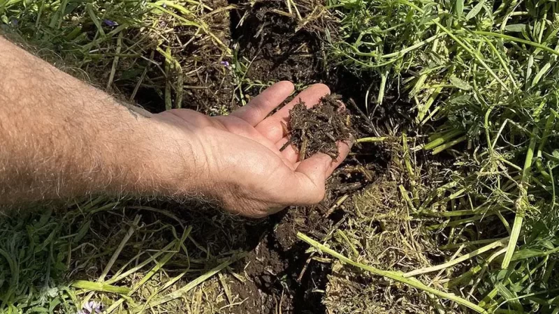 Estudios del INTA reflejan que la agricultura regenerativa se presenta como alternativa viable