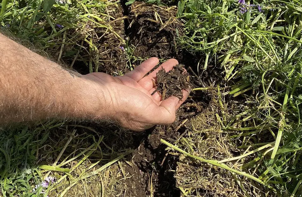 Estudios del INTA reflejan que la agricultura regenerativa se presenta como alternativa viable
