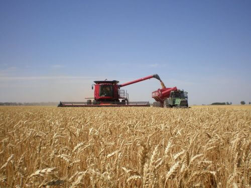 Piden una ley para incrementar el potencial agroexportador