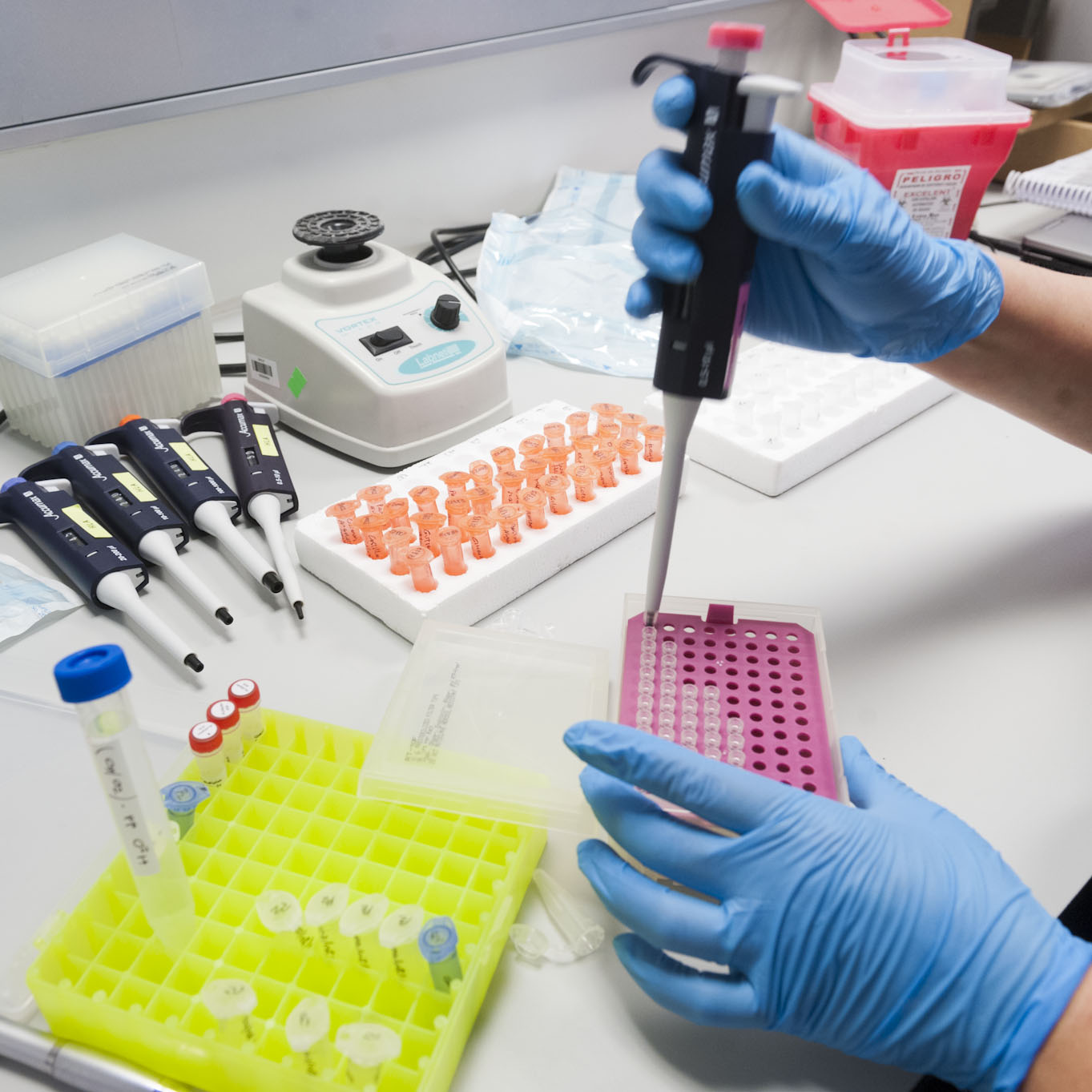 El gobierno invierte 9 millones de dólares en proyectos de alto impacto en  Buenos Aires