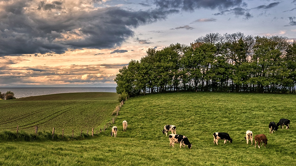 Carbap sostuvo que el gobierno nacional «continúa viviendo una gran fiesta fiscal»