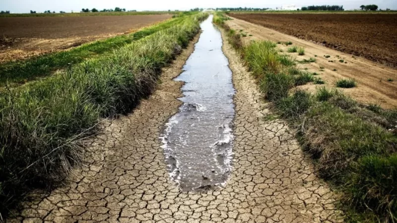 La sequía afectó a sectores de la agricultura y ganadería