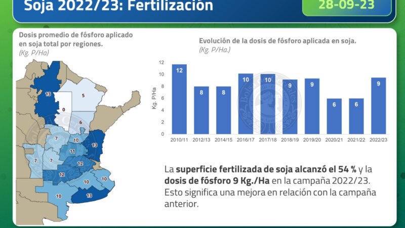 La reducción de área de trigo🌾 favoreció una mayor proporción de soja🌱 de primera