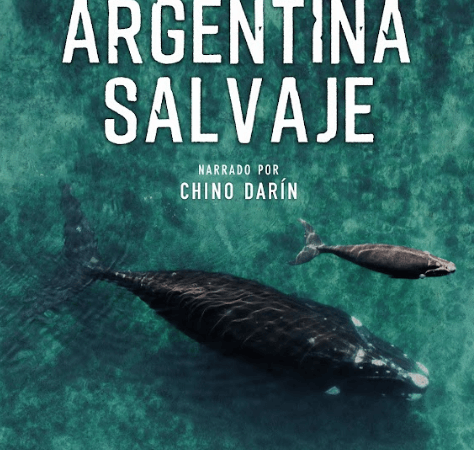 “Argentina Salvaje”, la primera película nacional de naturaleza