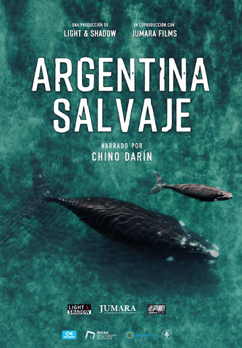 “Argentina Salvaje”, la primera película nacional de naturaleza