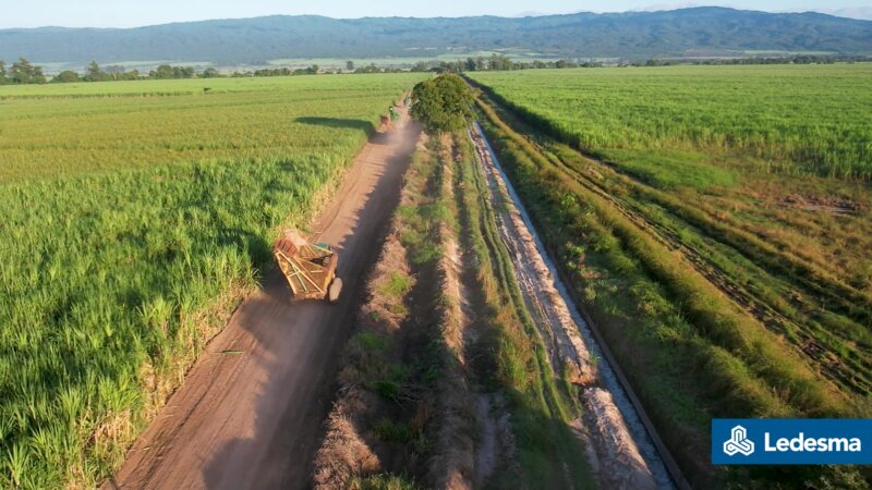 El ingenio Ledesma terminó su cosecha anual de caña de azucar con una gran producción