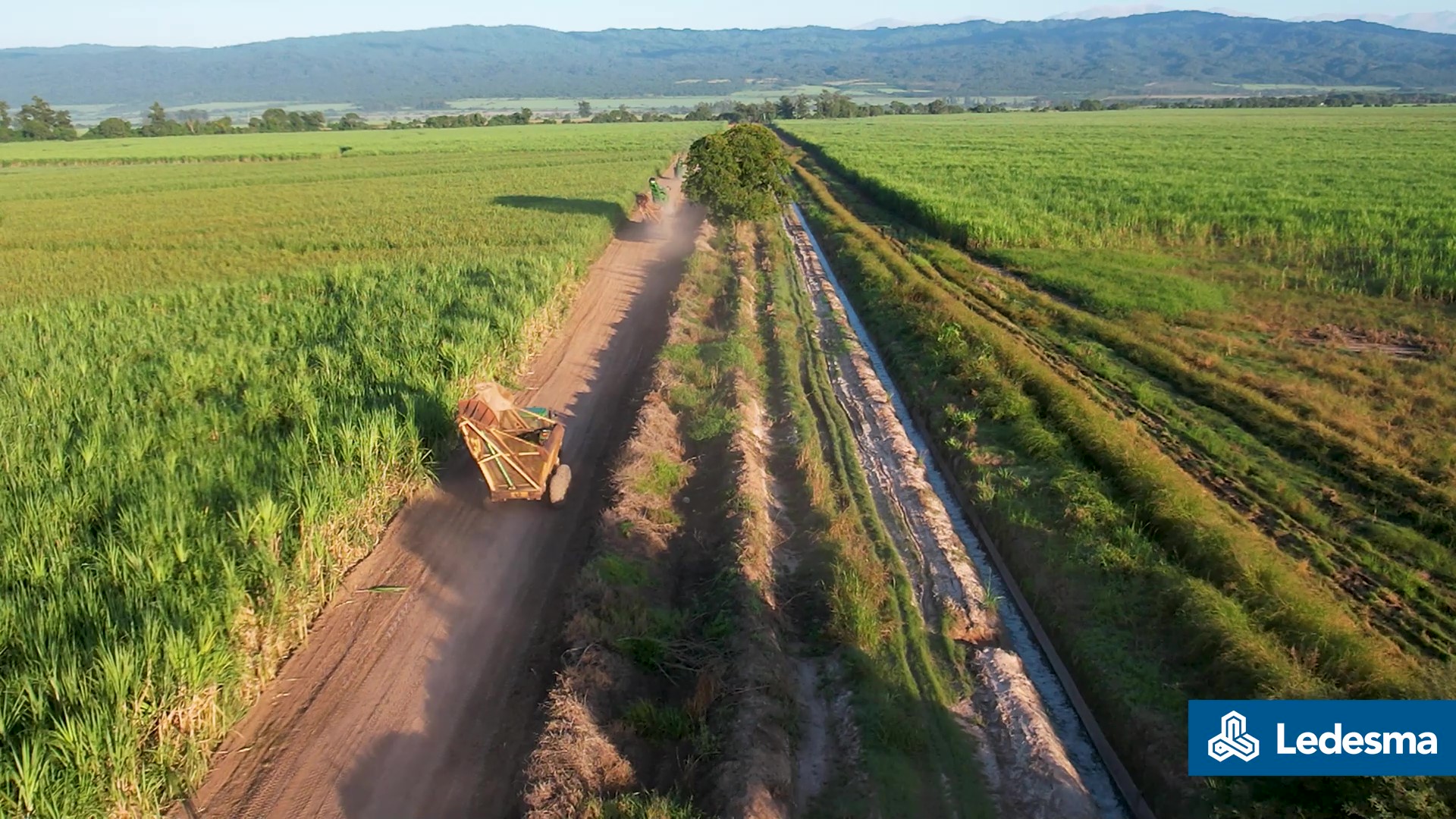 El ingenio Ledesma terminó su cosecha anual de caña de azucar con una gran producción