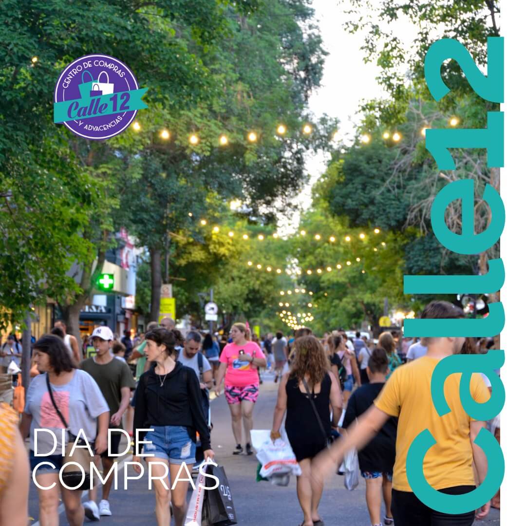 La Plata: Cámaras comerciales instalan alarmas «antimecheras» agobiados  por los robos