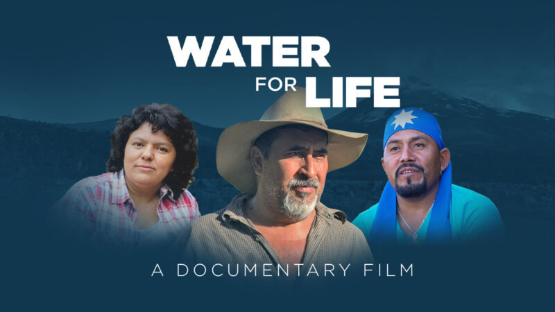 Las películas ganadoras de la 7ª edición del Festival de Cine Ambiental