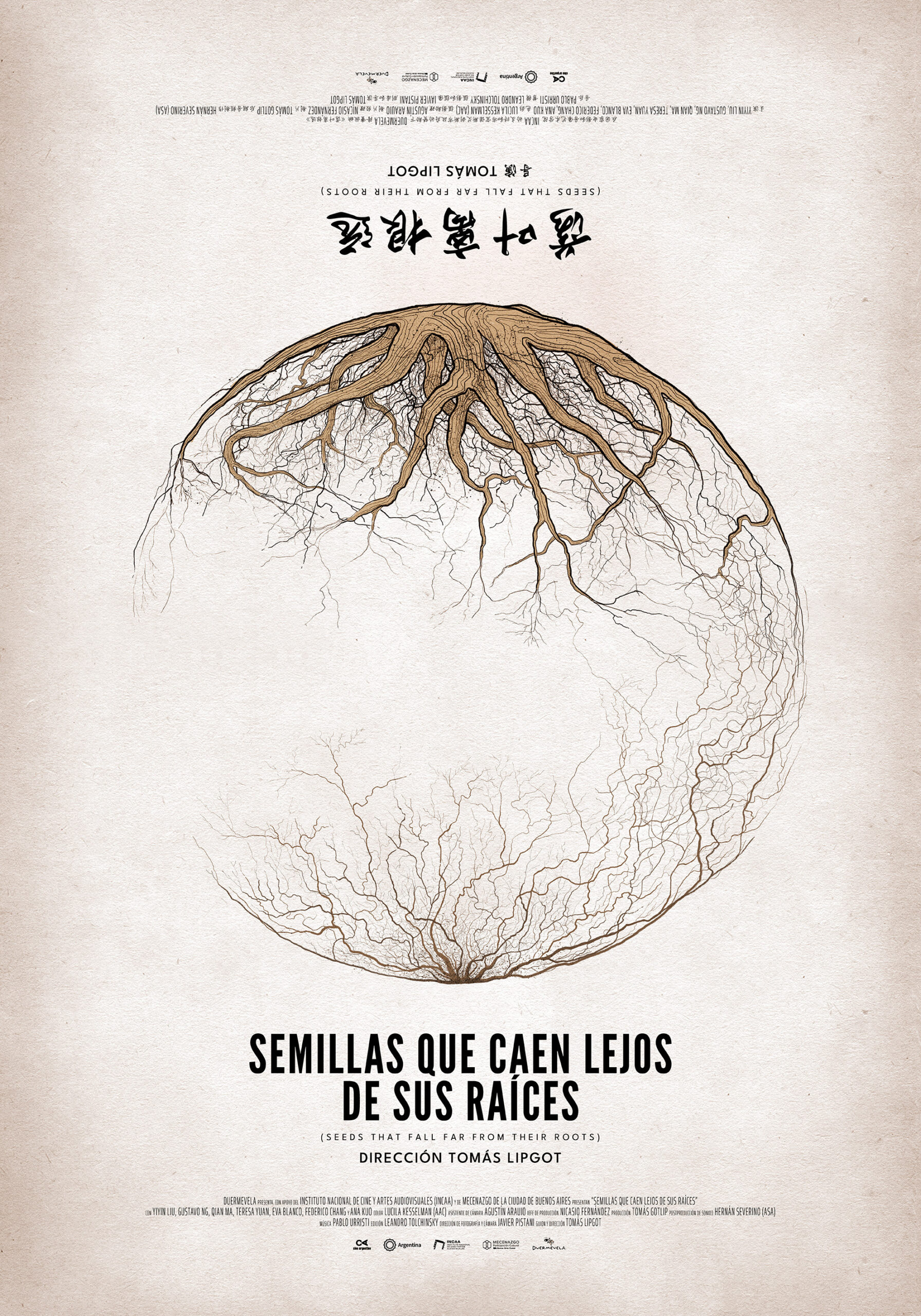 «Semillas que caen lejos de sus raíces», un documental sobre la comunidad china