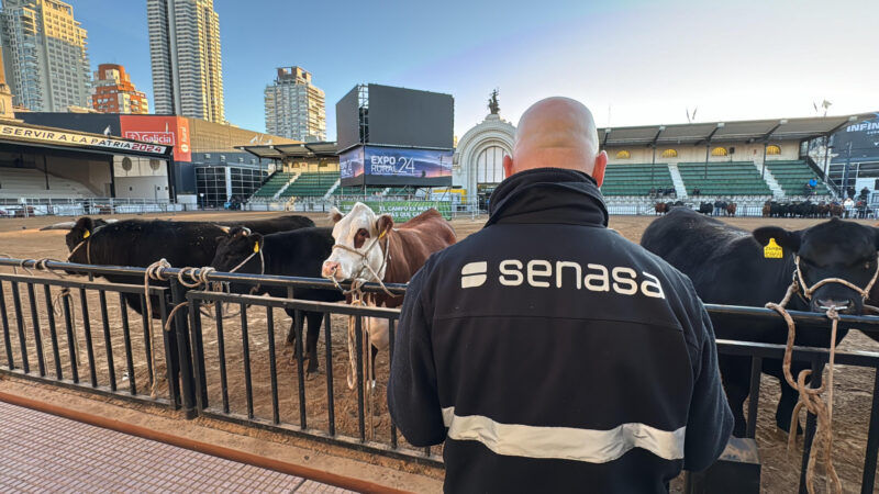 Senasa realiza controles a los animales que ingresan al predio de la Rural