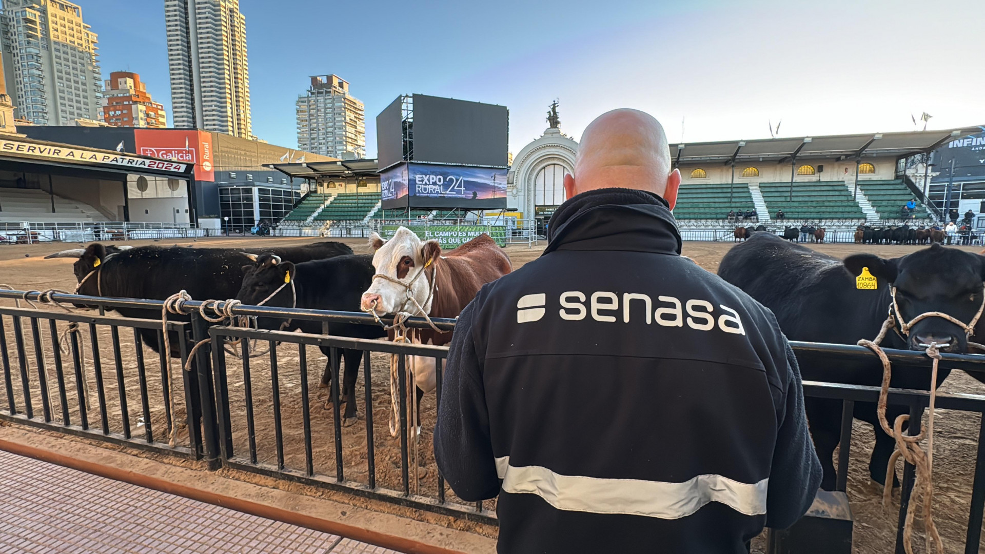 Senasa realiza controles a los animales que ingresan al predio de la Rural