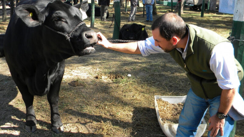 En Chaco y Formosa, los establecimientos agropecuarios deben declarar novedades sanitarias