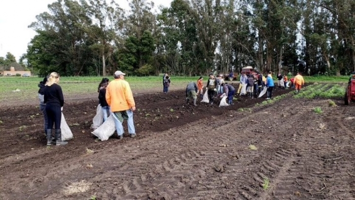 Buenos Aires: construirán una biofábrica en la  Chacra Experimental de Miramar