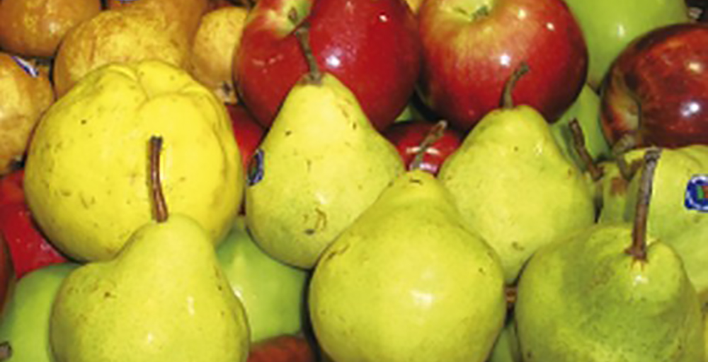 Se exportaron más de 87 mil toneladas de peras y manzanas a Brasil