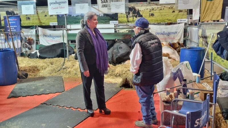 El gobierno bonaerense presentó su política lechera en la Expo Rural 2024